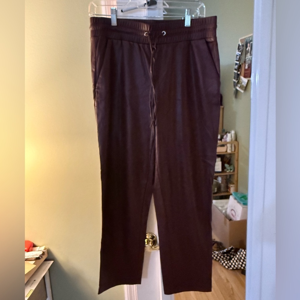 Express Wine Color Straight Leg Faux Leather Pants